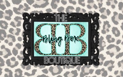 Redundancy is the Key to Stability – The Bling Box Boutique in Cameron, TX
